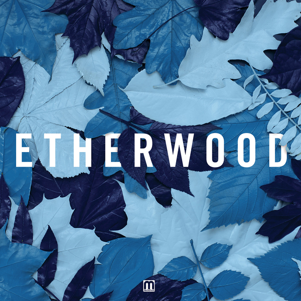 Etherwood ‎– Blue Leaves [Med School Music][MEDIC52](2015)