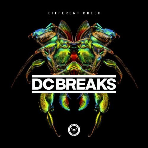 DC Breaks ‎– Different Breed [RAM Records][RAMMLP27](2017)