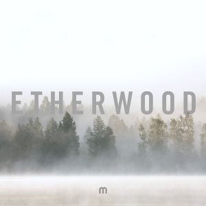 Etherwood - In Stillness [MEDIC77](2018)
