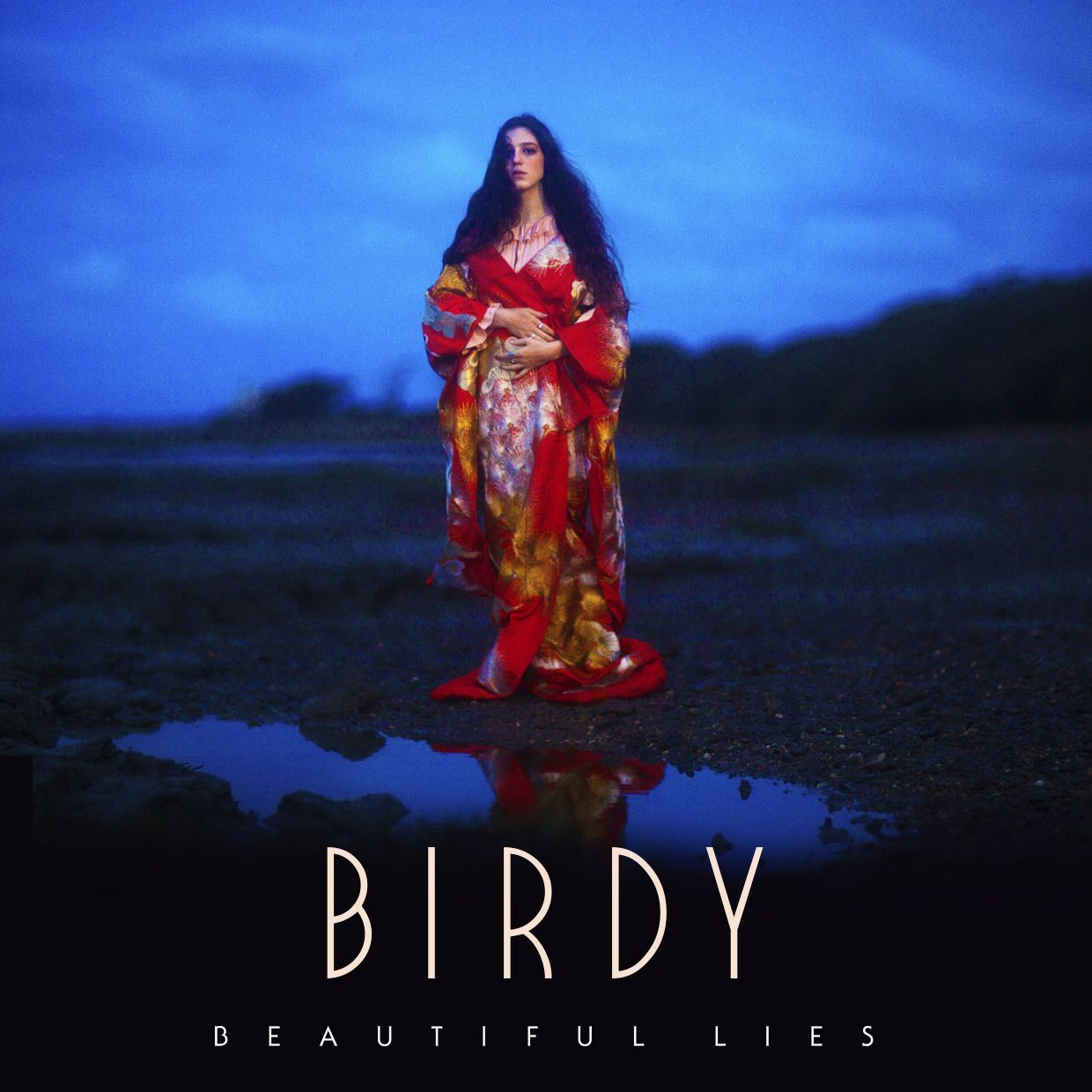 Birdy - Beautiful Lies [825 646 482 054](2015)