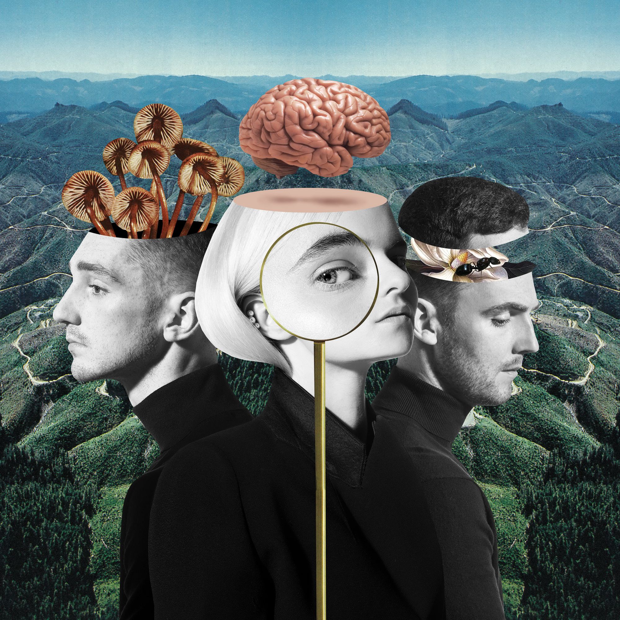 Clean Bandit - What Is Love [190 295 552 589](2018)