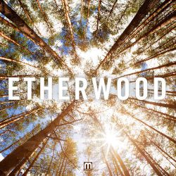 Etherwood - Etherwood [MEDIC36](2013)