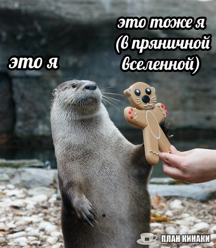 План Кинаки - мемы про выдр и других животных