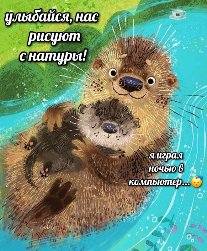 План Кинаки - мемы про выдр и других животных