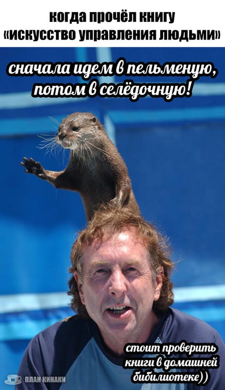План Кинаки - мемы про выдр и других животных