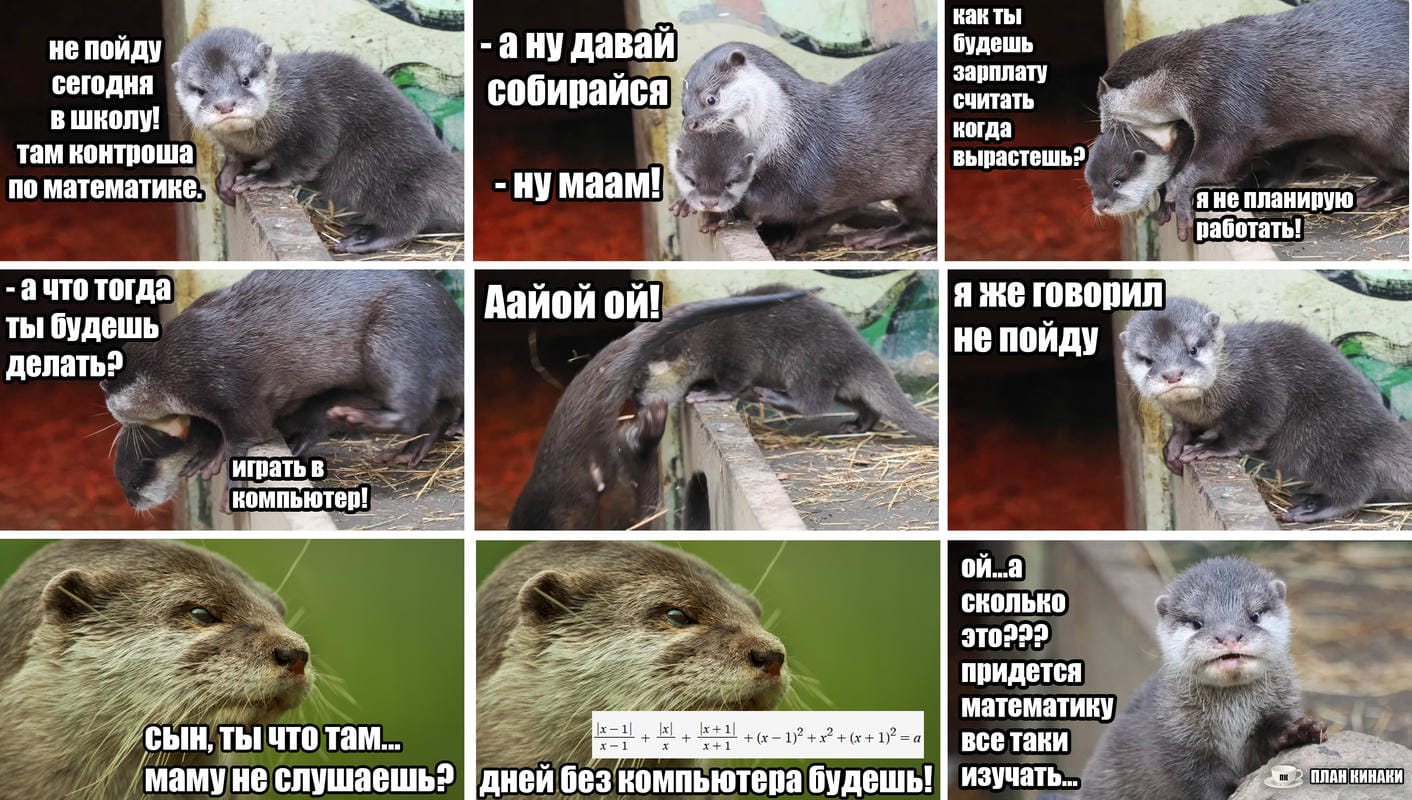 План Кинаки - мемы про выдр и других животных