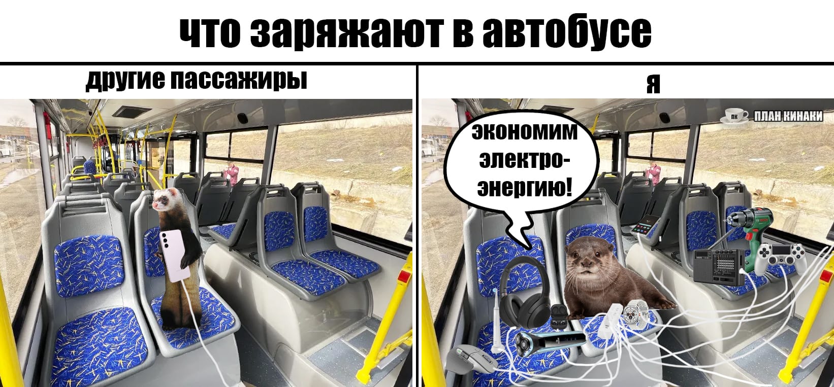 План Кинаки - мемы про выдр и других животных