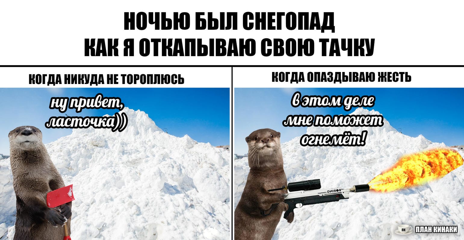 План Кинаки - мемы про выдр и других животных
