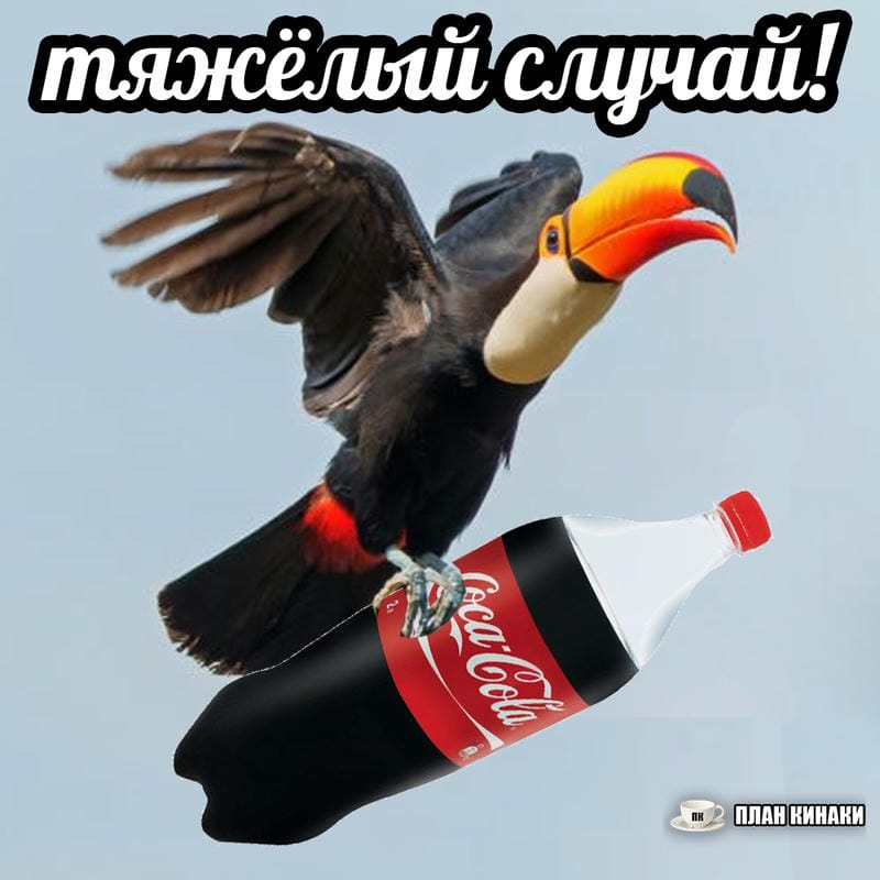 План Кинаки - мемы про выдр и других животных