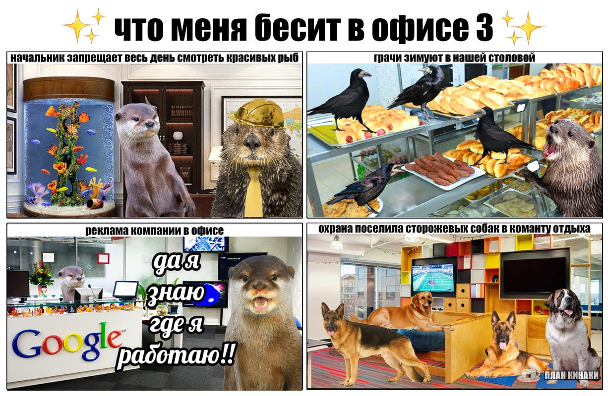 План Кинаки - мемы про выдр и других животных