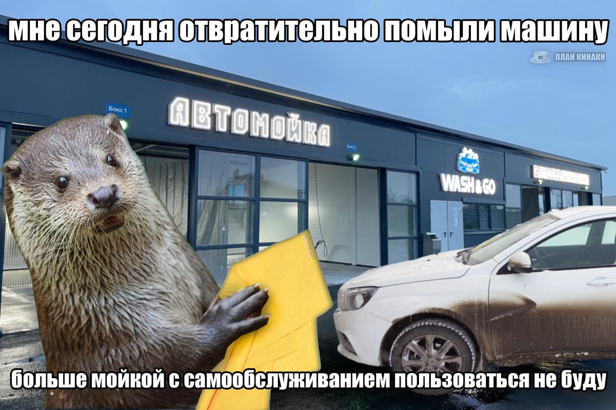 План Кинаки - мемы про выдр и других животных