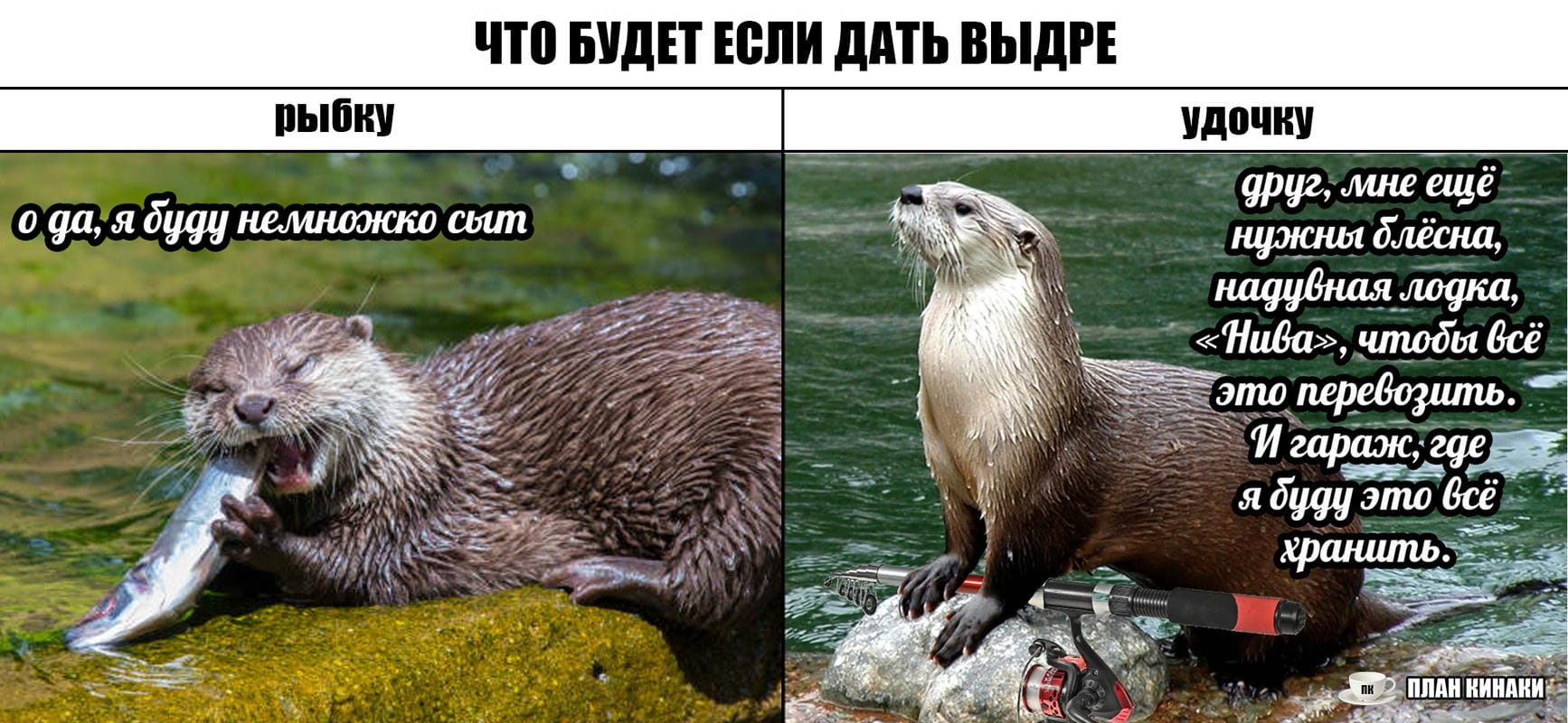 План Кинаки - мемы про выдр и других животных