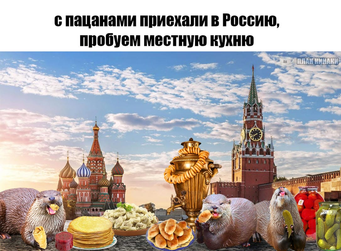 План Кинаки - мемы про выдр и других животных