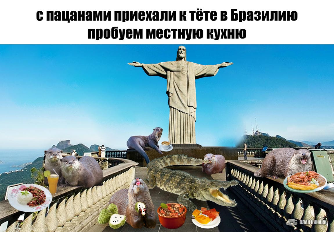 План Кинаки - мемы про выдр и других животных