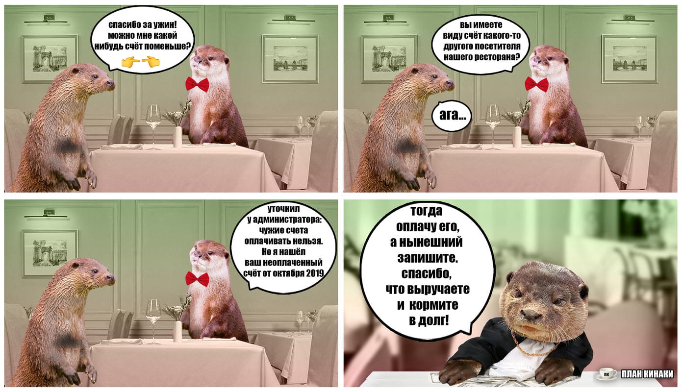План Кинаки - мемы про выдр и других животных