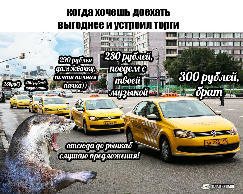 План Кинаки - мемы про выдр и других животных