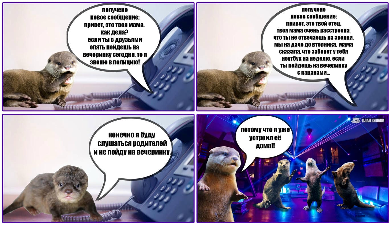 План Кинаки - мемы про выдр и других животных