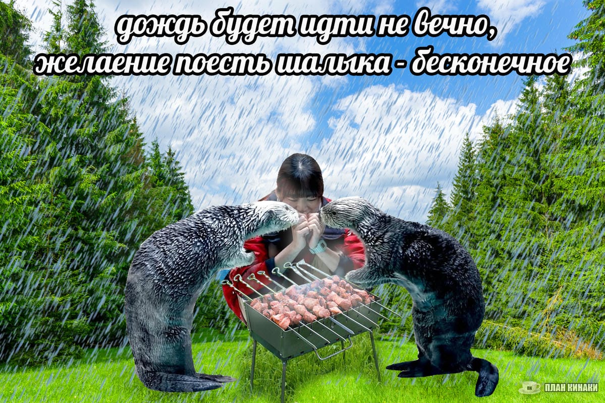 План Кинаки - мемы про выдр и других животных