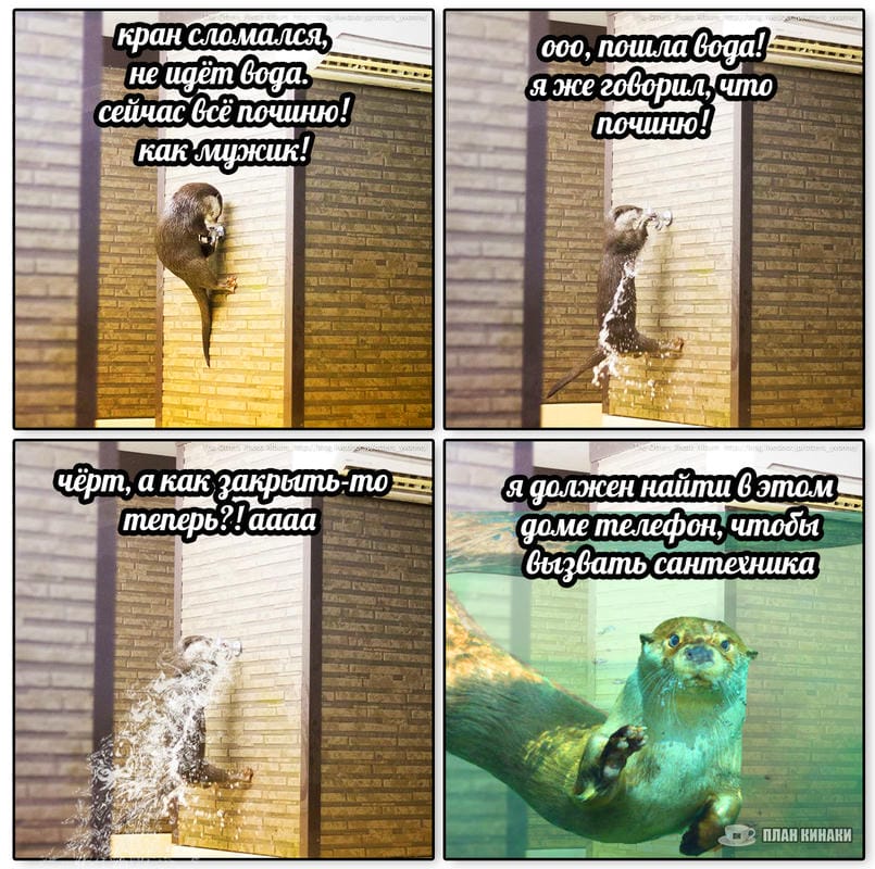 План Кинаки - мемы про выдр и других животных