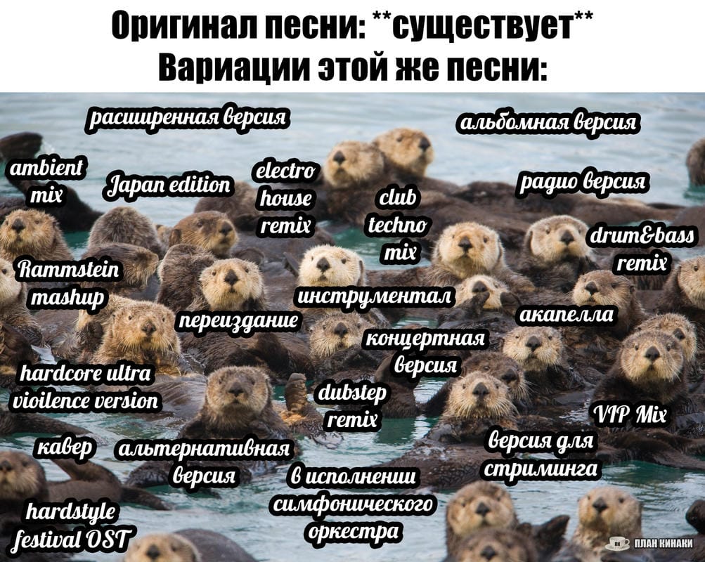 План Кинаки - мемы про выдр и других животных