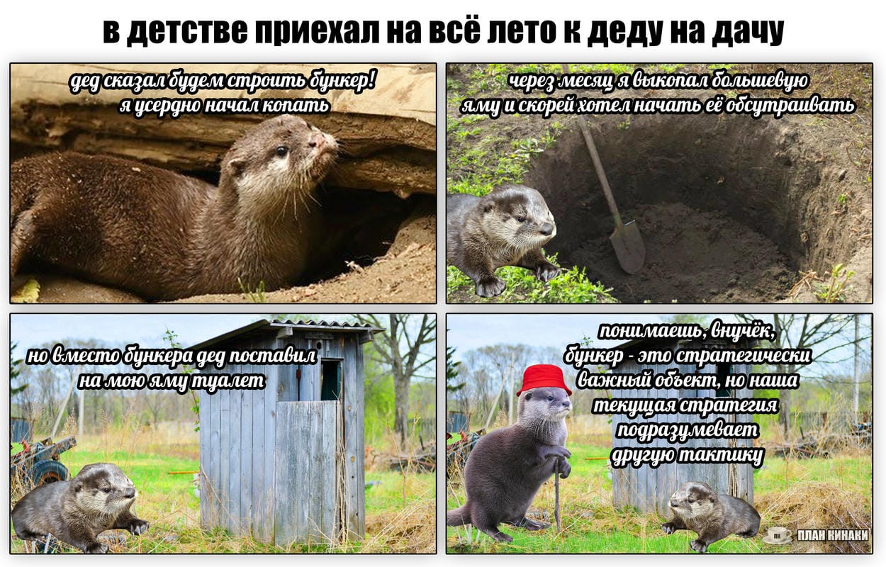 План Кинаки - мемы про выдр и других животных