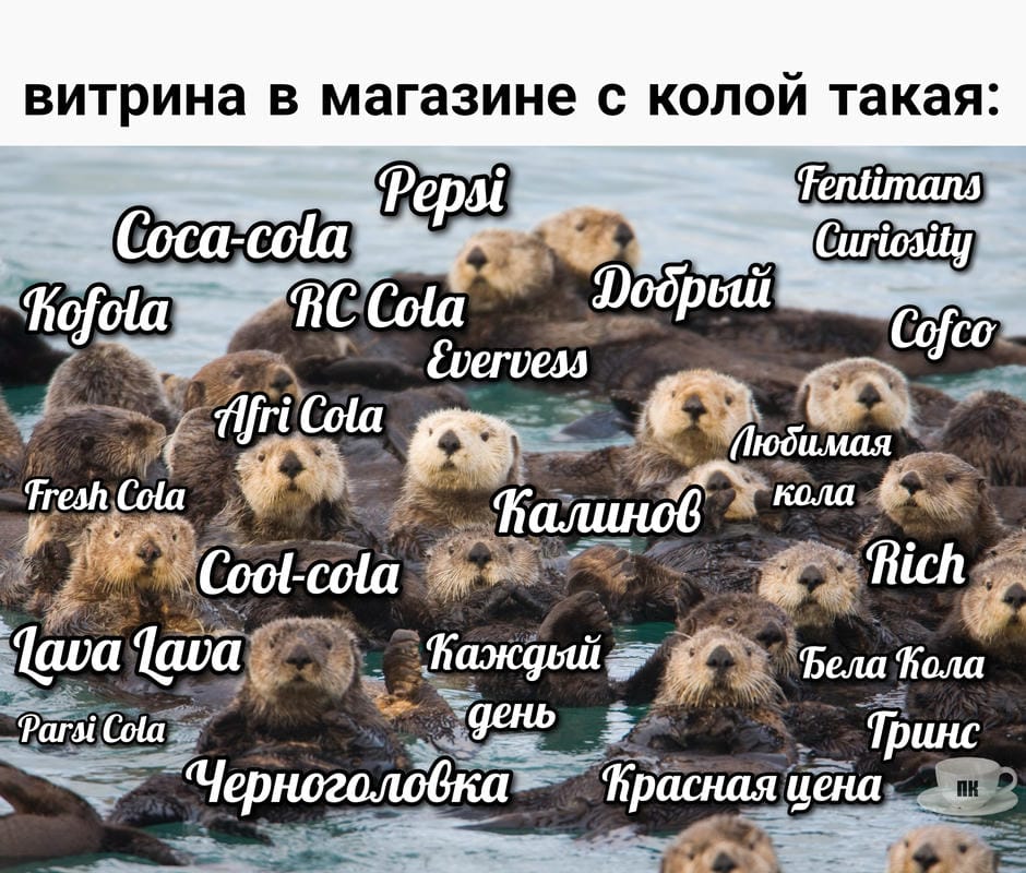 План Кинаки - мемы про выдр и других животных