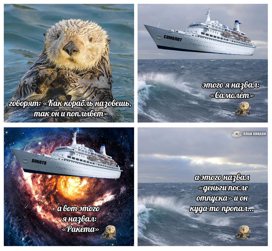 План Кинаки - мемы про выдр и других животных