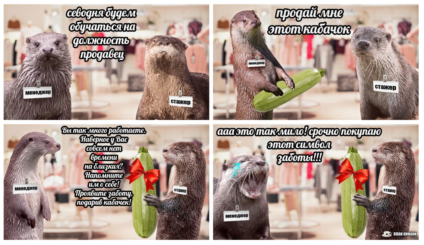 План Кинаки - мемы про выдр и других животных