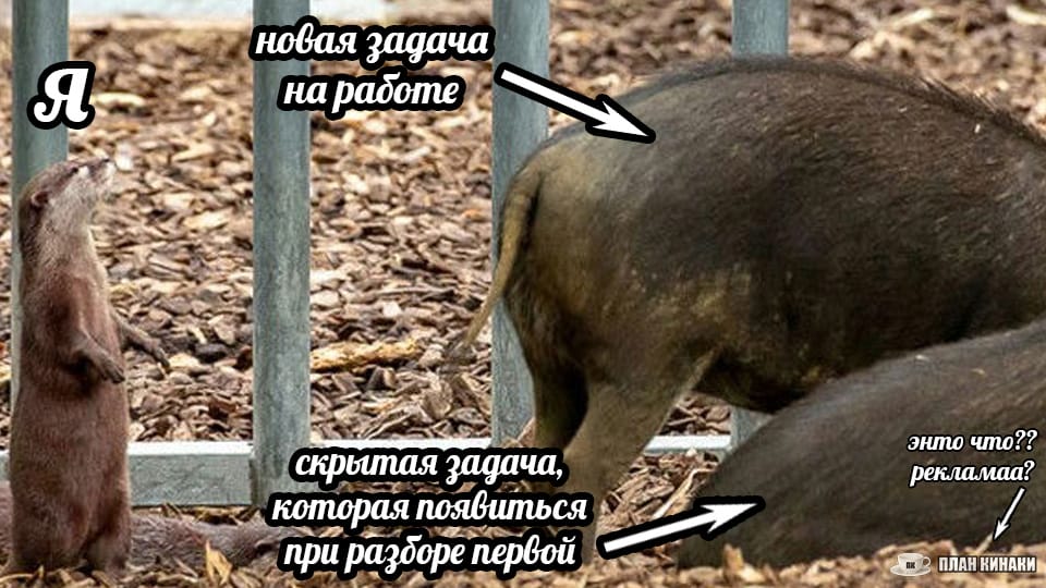 План Кинаки - мемы про выдр и других животных