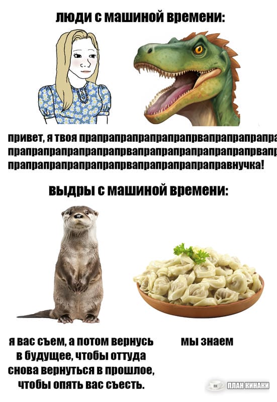 План Кинаки - мемы про выдр и других животных