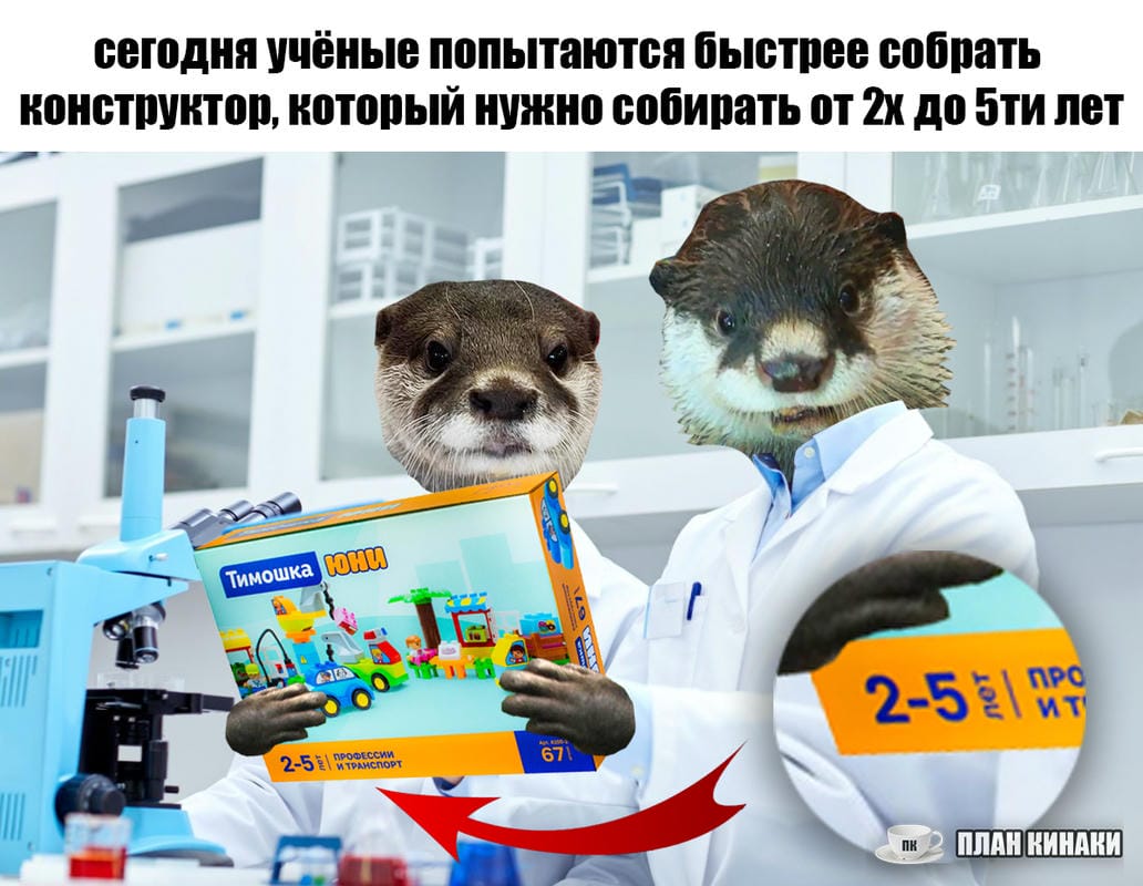 План Кинаки - мемы про выдр и других животных