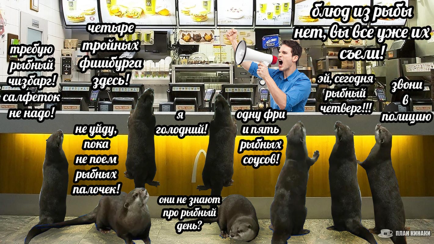 План Кинаки - мемы про выдр и других животных