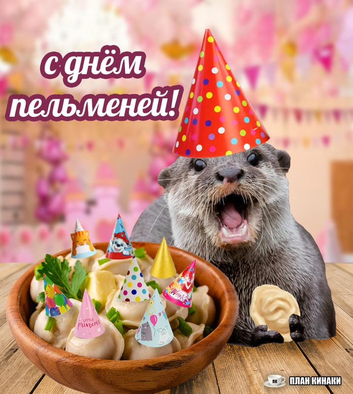 План Кинаки - мемы про выдр и других животных