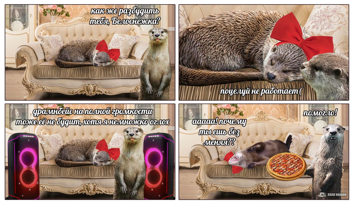 План Кинаки - мемы про выдр и других животных