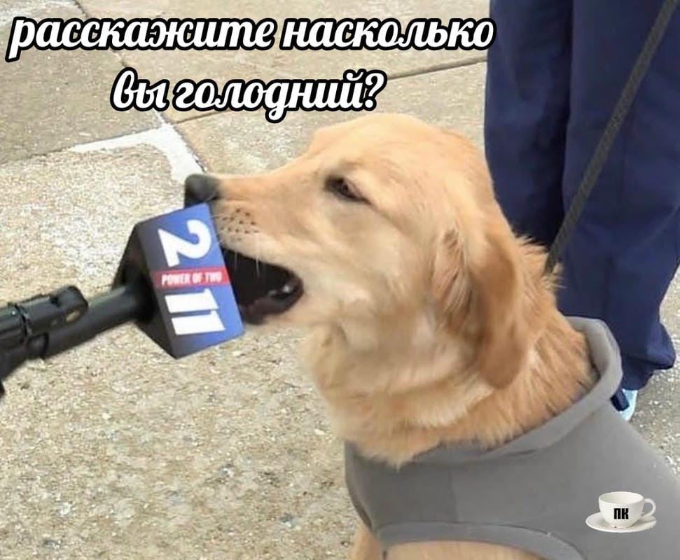 План Кинаки - мемы про выдр и других животных