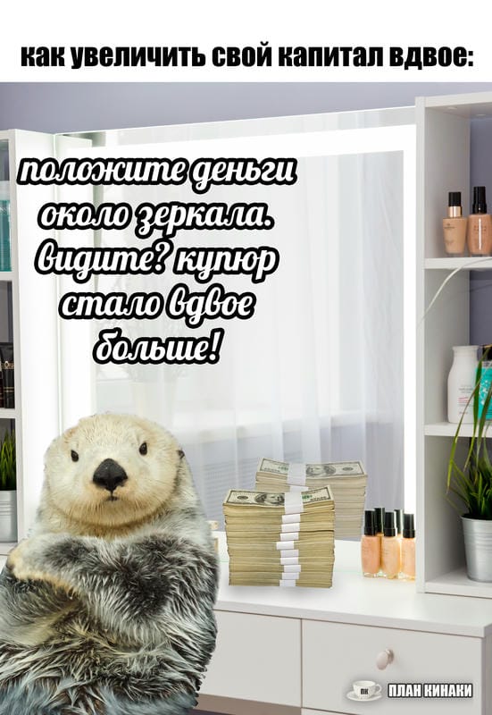 План Кинаки - мемы про выдр и других животных
