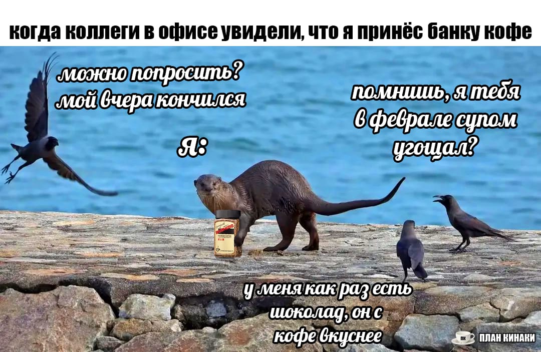 План Кинаки - мемы про выдр и других животных