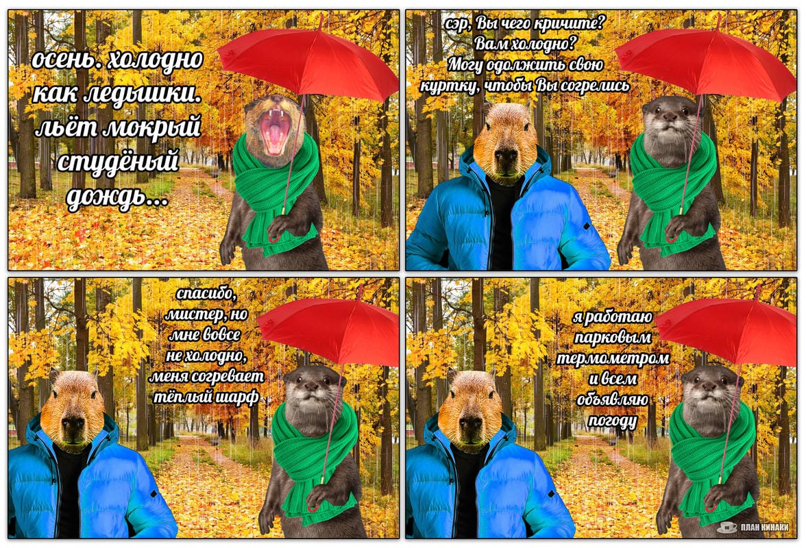 План Кинаки - мемы про выдр и других животных