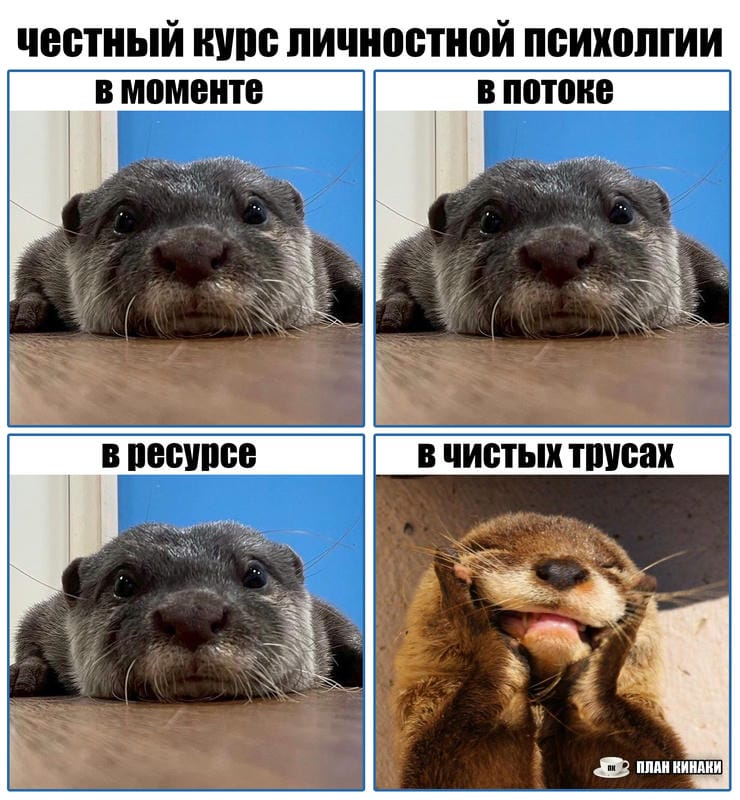 План Кинаки - мемы про выдр и других животных