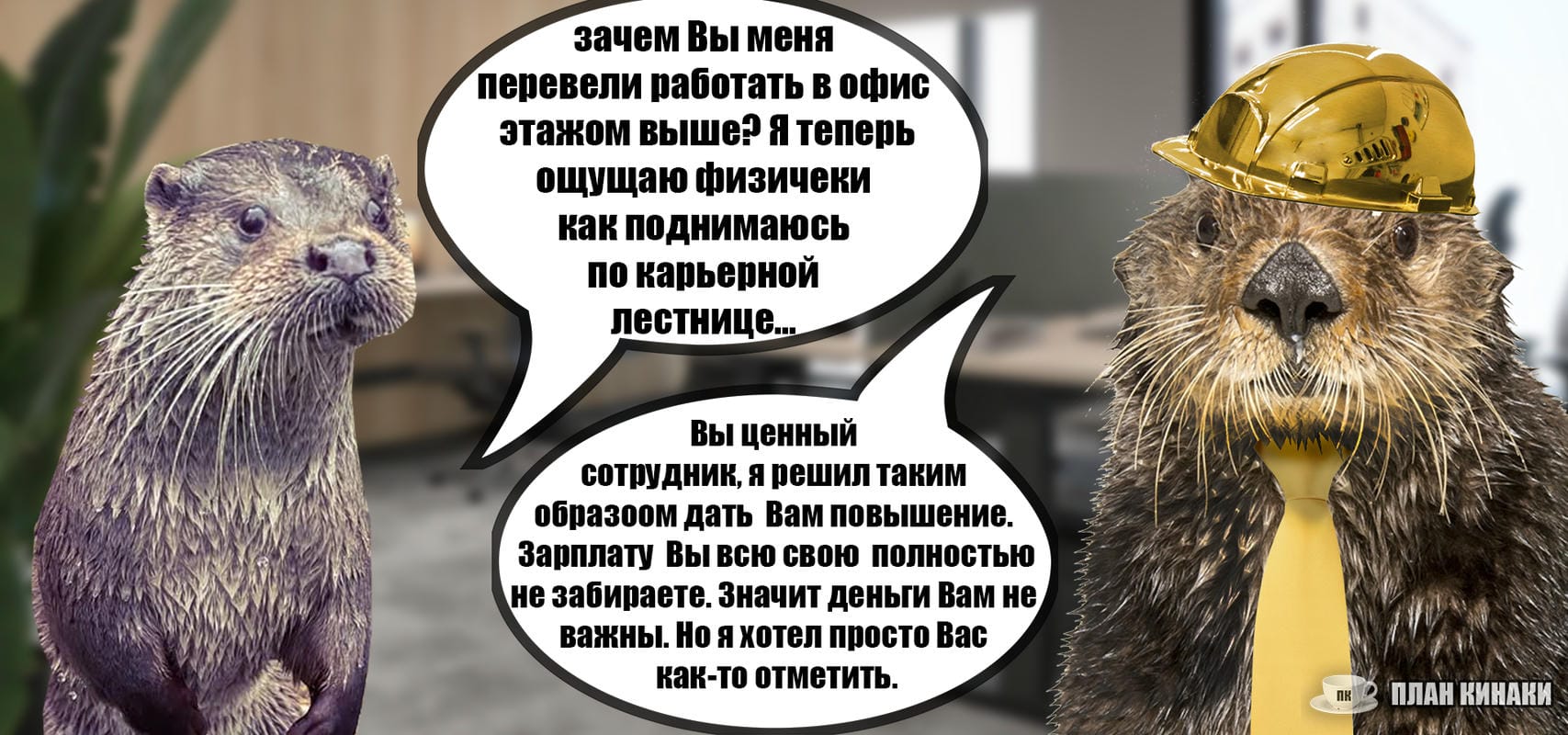 План Кинаки - мемы про выдр и других животных