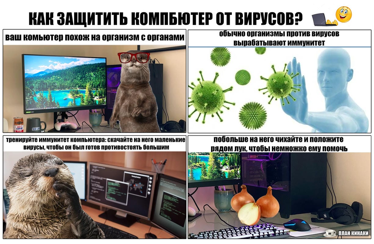 План Кинаки - мемы про выдр и других животных