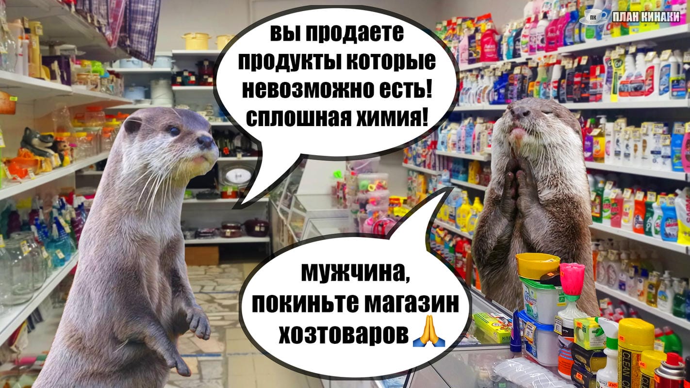 План Кинаки - мемы про выдр и других животных