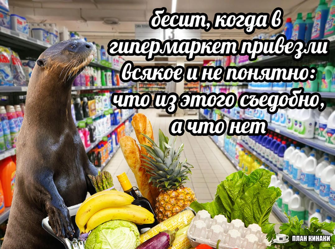 План Кинаки - мемы про выдр и других животных