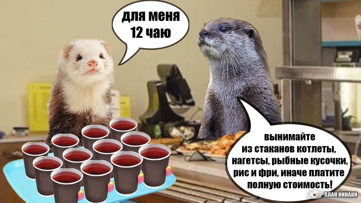 План Кинаки - мемы про выдр и других животных