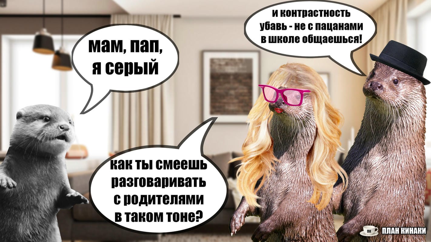 План Кинаки - мемы про выдр и других животных