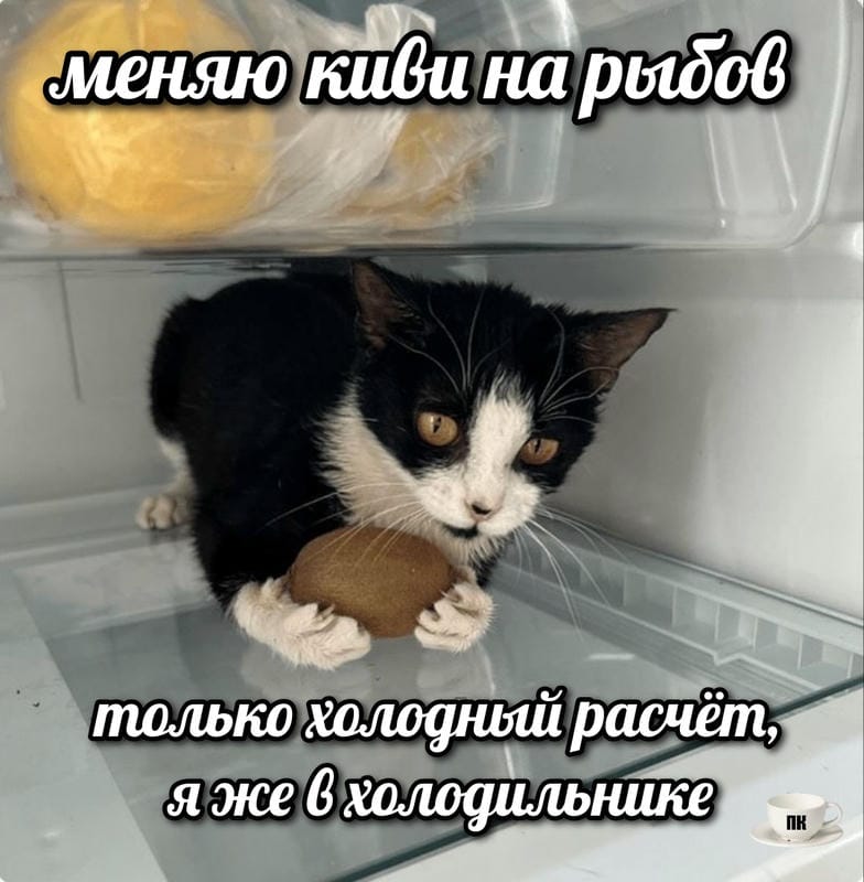 План Кинаки - мемы про выдр и других животных