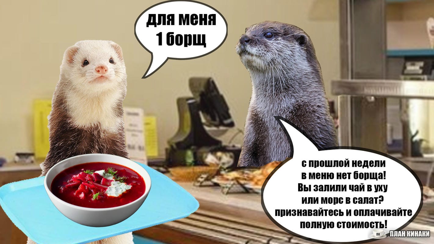 План Кинаки - мемы про выдр и других животных