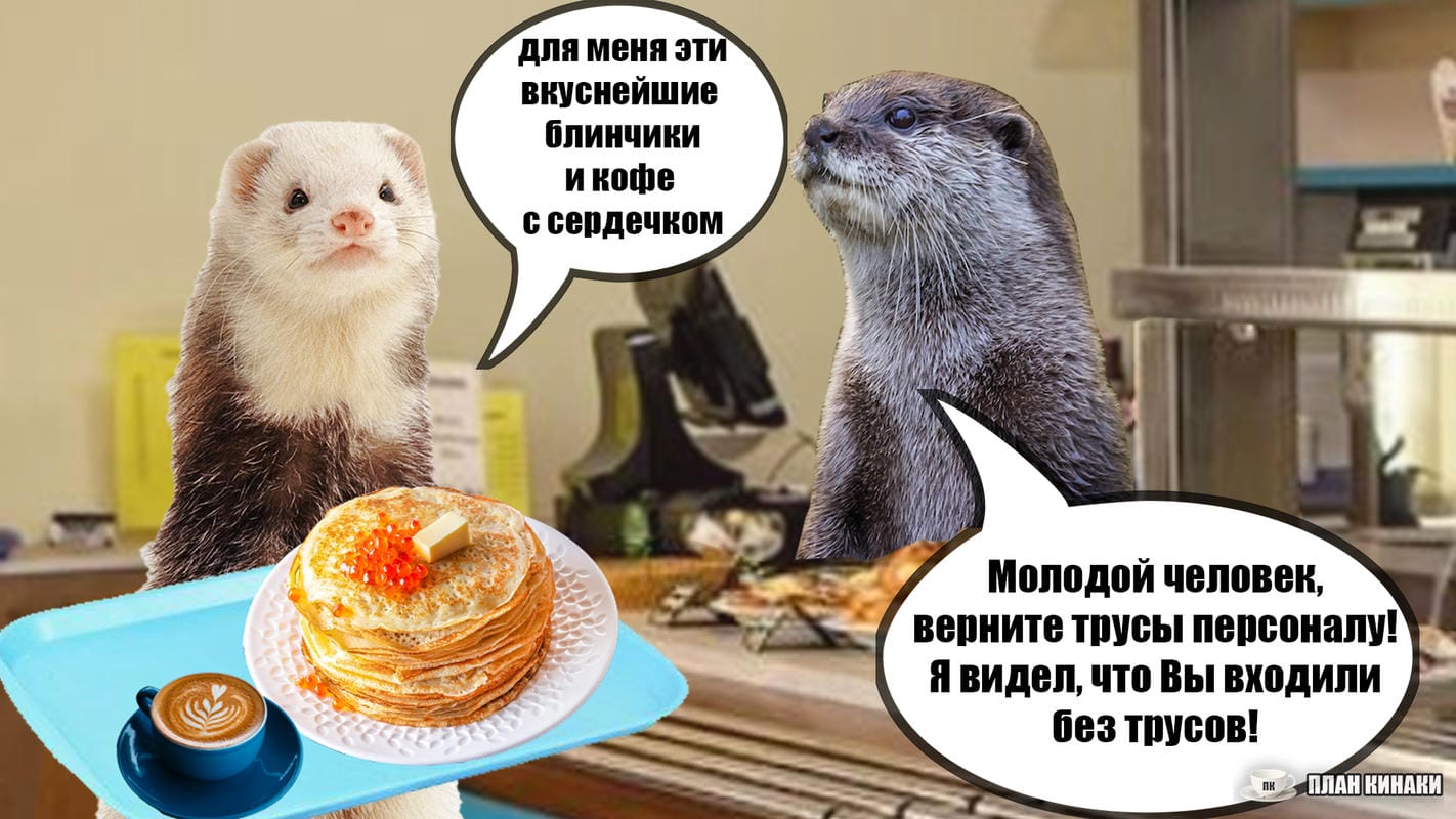 План Кинаки - мемы про выдр и других животных