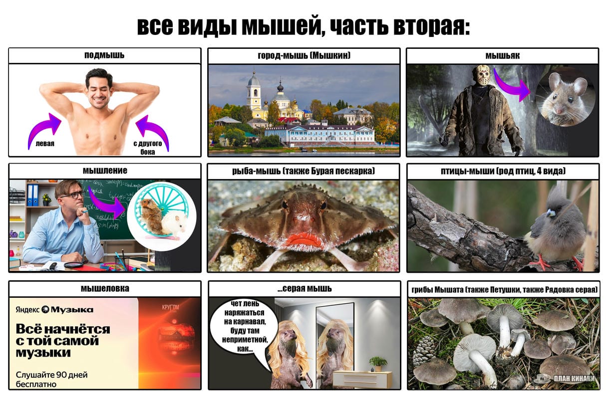 План Кинаки - мемы про выдр и других животных