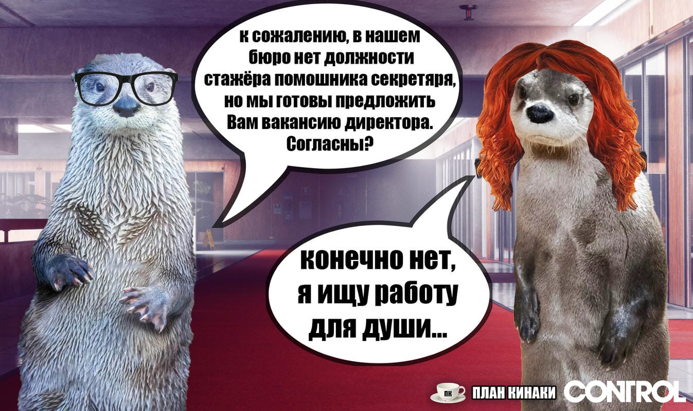 План Кинаки - мемы про выдр и других животных